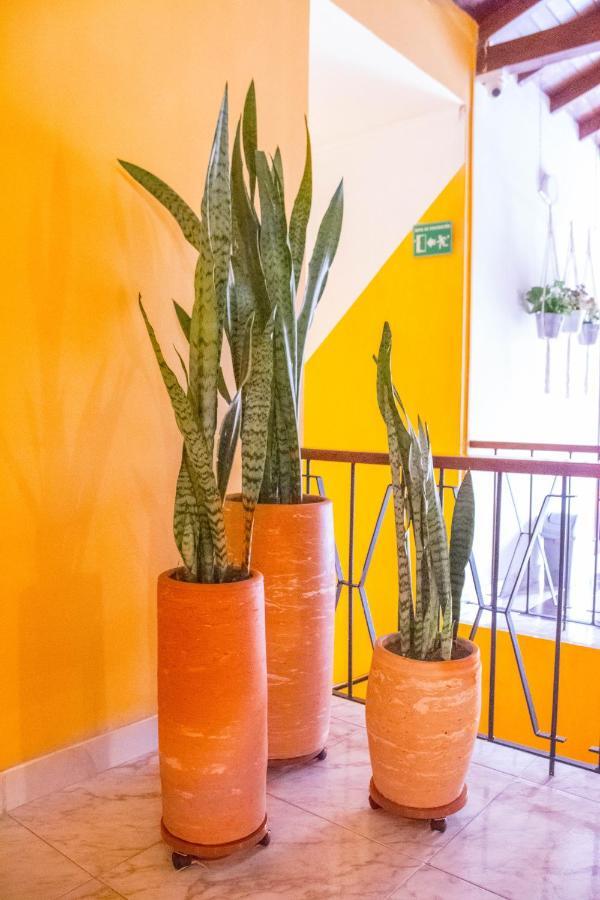 Hotel Porton Colonial Medellín Kültér fotó
